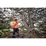 A worker in safety gear trims tree branches with a pole saw in a wooded area.